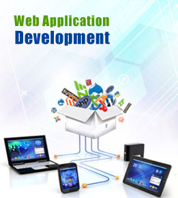 web application development services