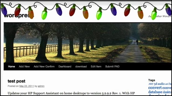 Christmas lights on website