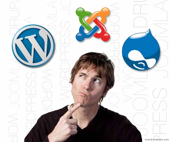 wordpress vs joomla vs drupal competition